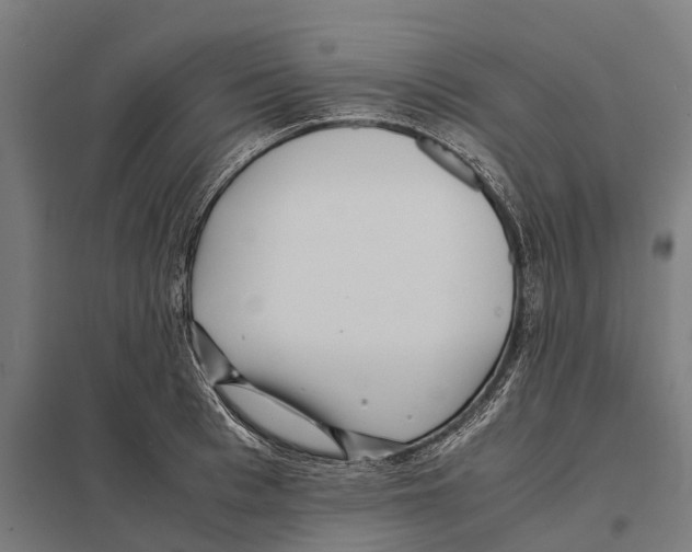 X0000097640993200803281119