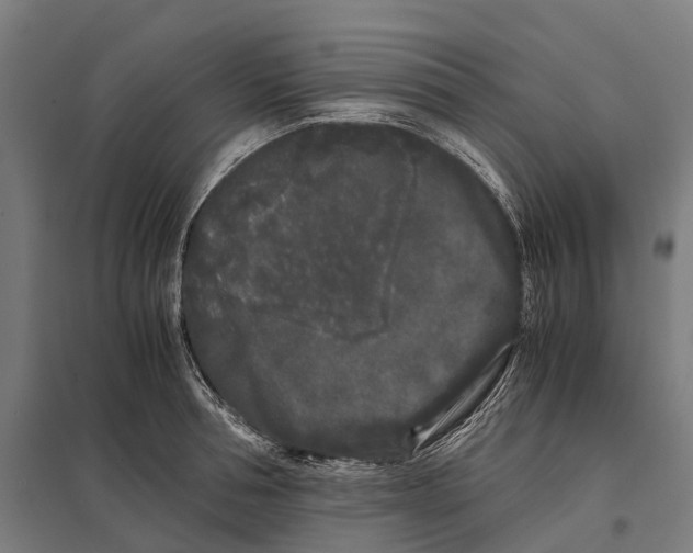 X0000097640994200803281119