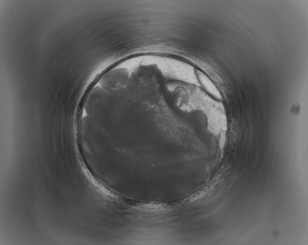 X0000097640998200803281119