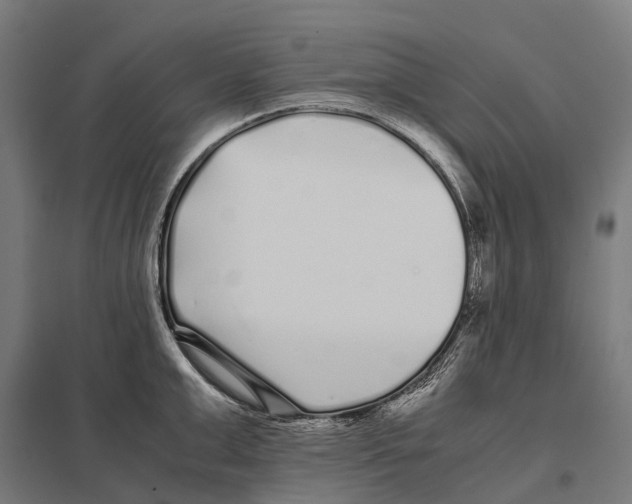 X0000097640999200803281119