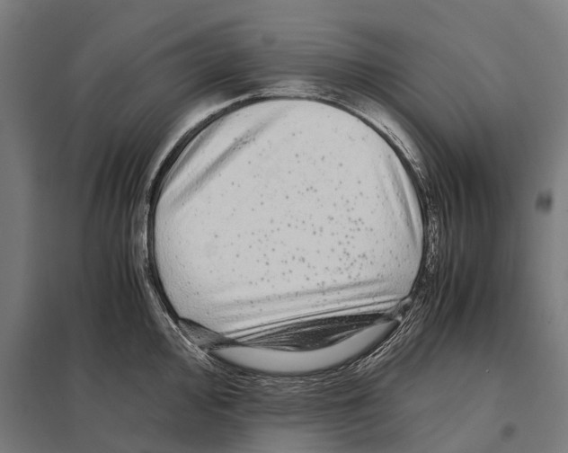 X0000097641000200803281119