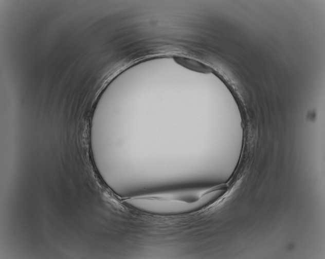 X0000097641001200803281119