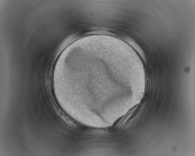 X0000097641002200803281119