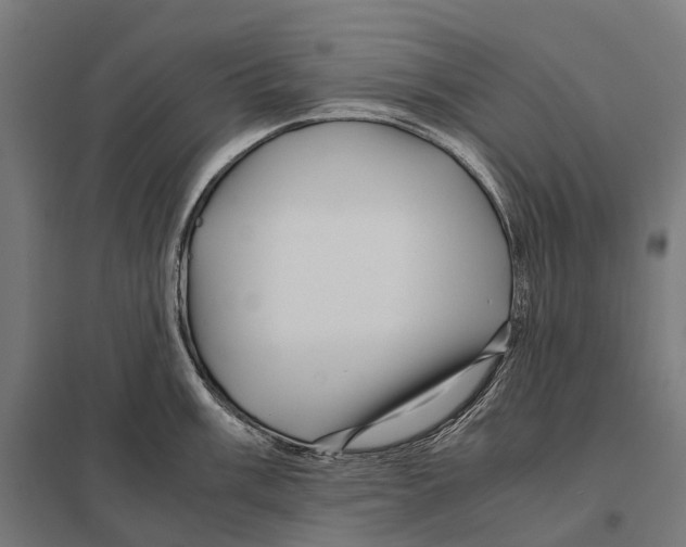 X0000097641003200803281119