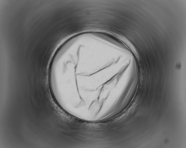 X0000097641004200803281119