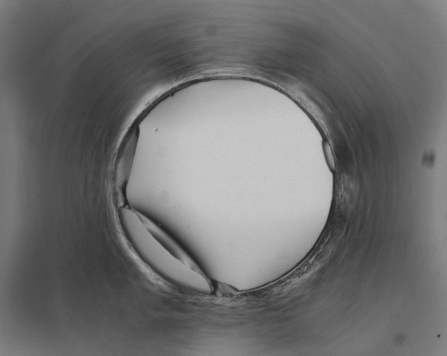 X0000097641005200803281119