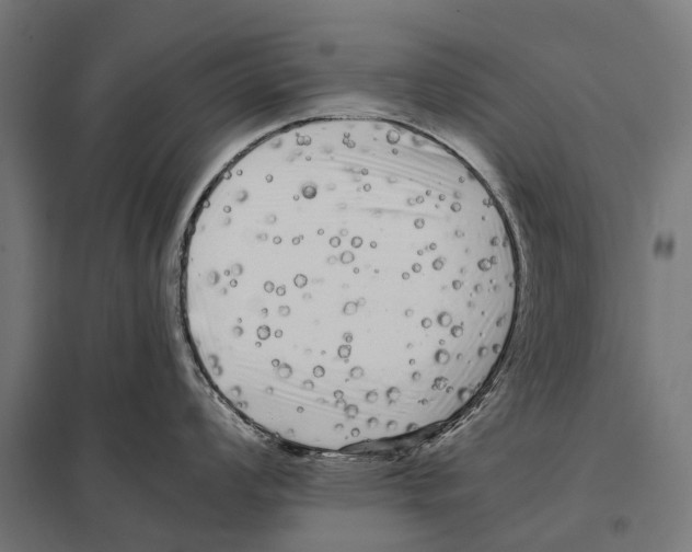 X0000097641008200803281119