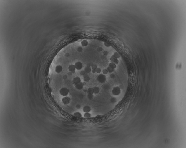 X0000097641009200803281118