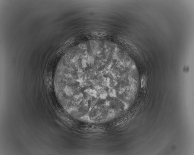 X0000097641011200803281118