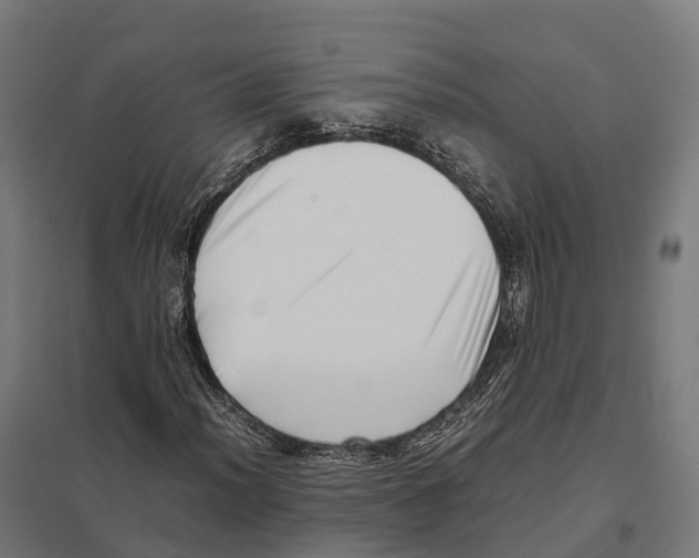 X0000097641012200803281118