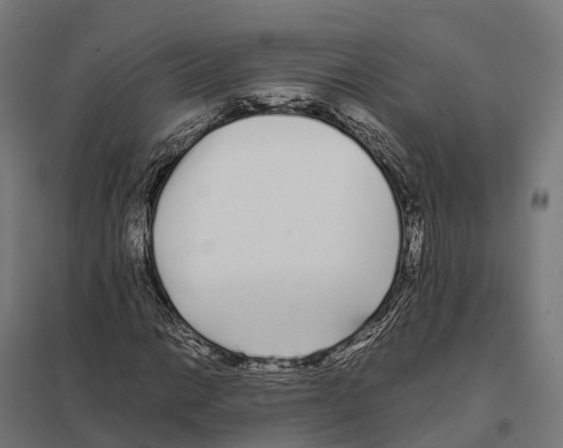 X0000097641014200803281118