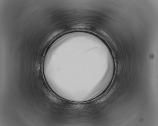 X0000097641017200803281118