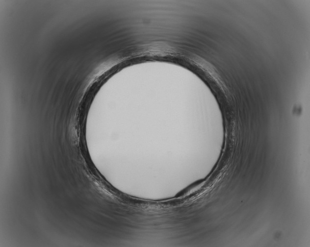 X0000097641018200803281118