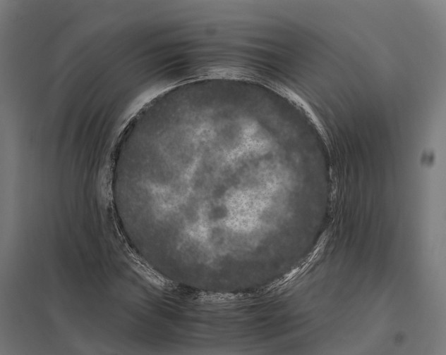 X0000097641019200803281118