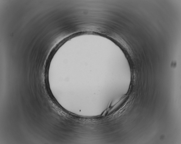 X0000097641020200803281118