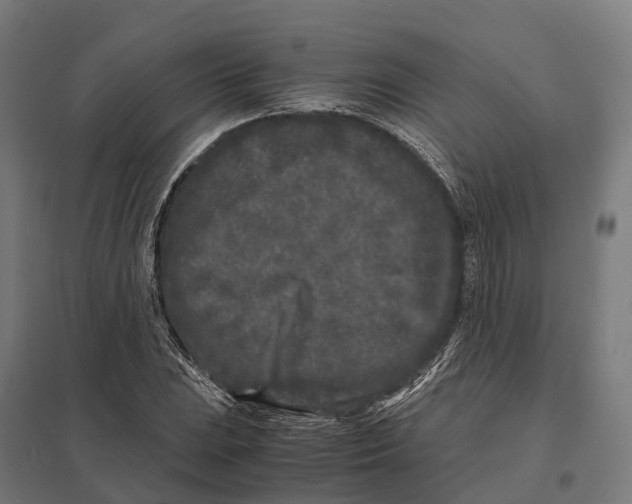 X0000097641023200803281118