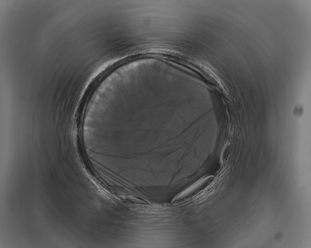 X0000097641024200803281118