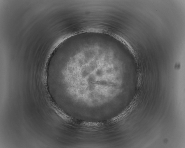 X0000097641027200803281118