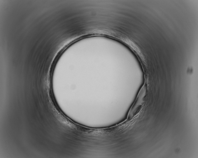 X0000097641028200803281118