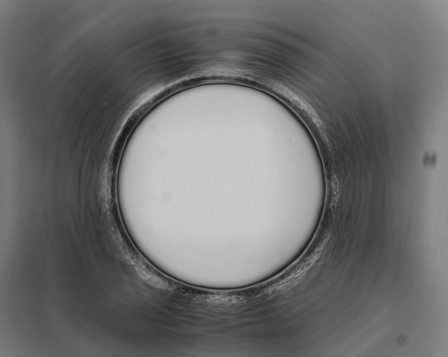 X0000097641029200803281118