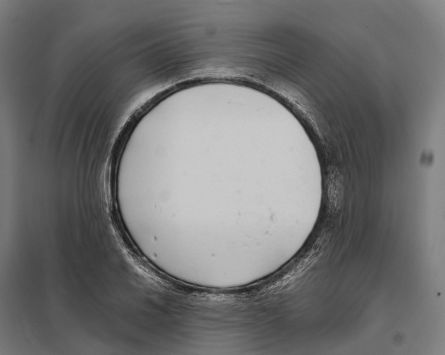 X0000097641030200803281118