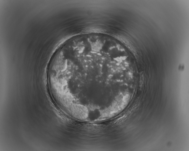 X0000097641031200803281118