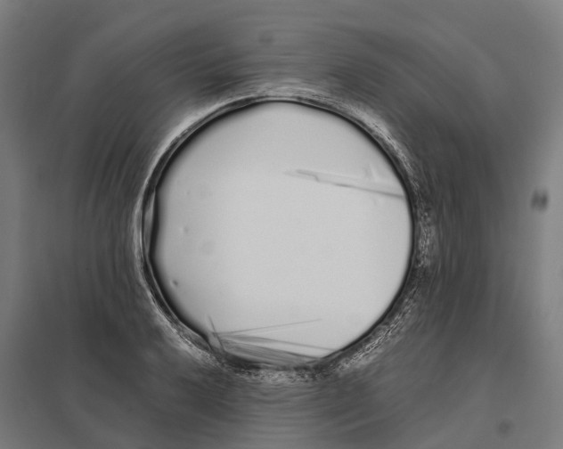 X0000097641032200803281118