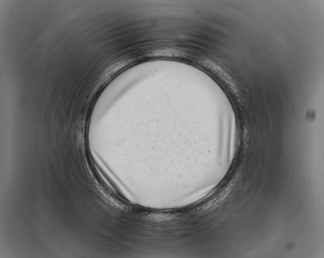 X0000097641033200803281118