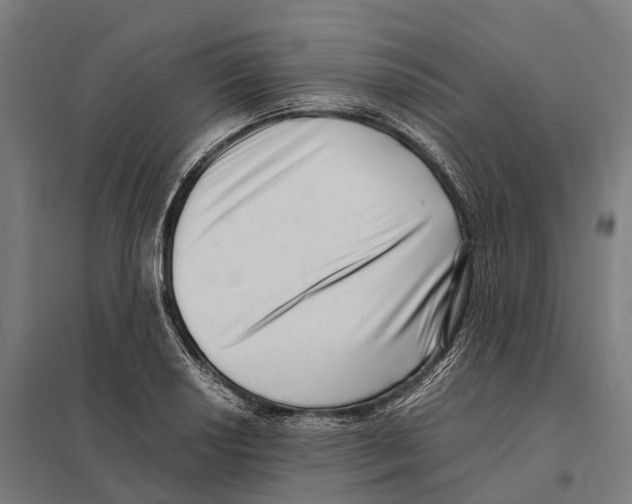 X0000097641034200803281118