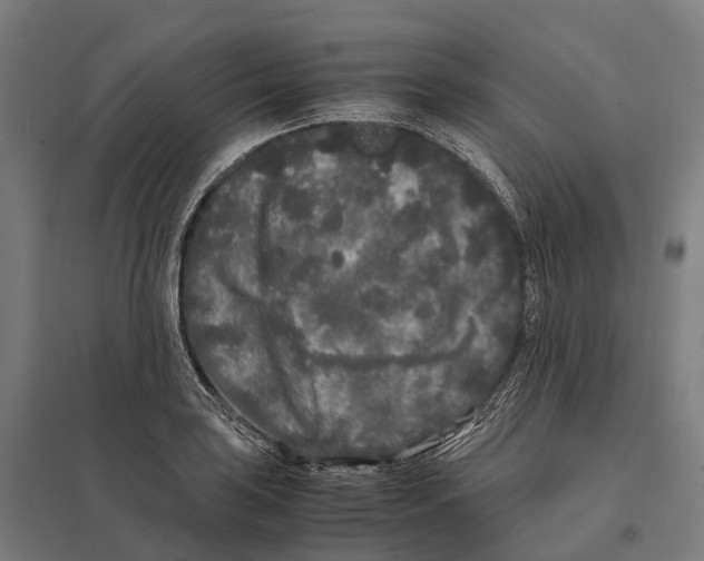 X0000097641035200803281118