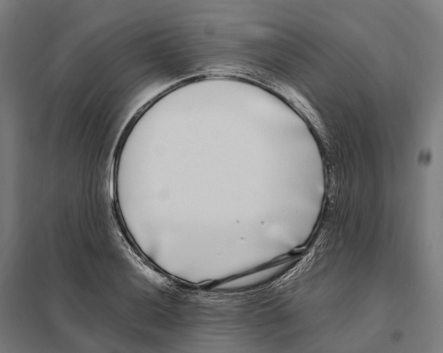 X0000097641036200803281118