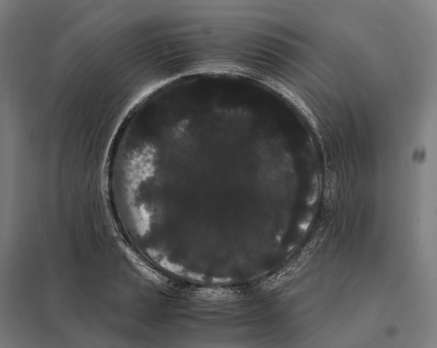 X0000097641037200803281118