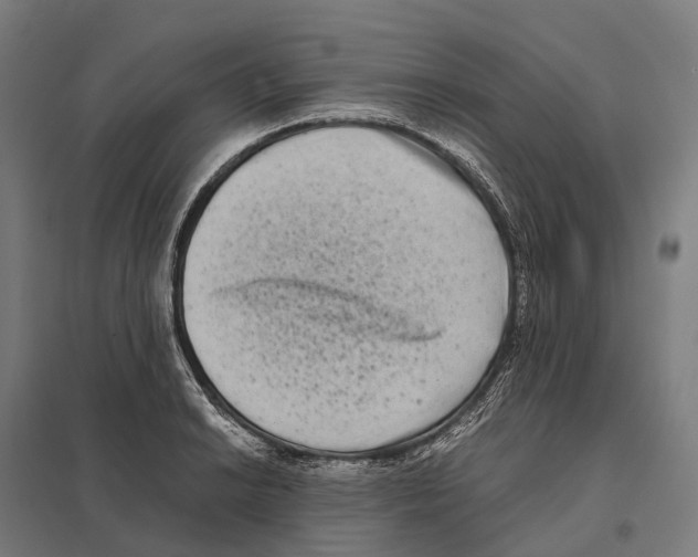 X0000097641038200803281118