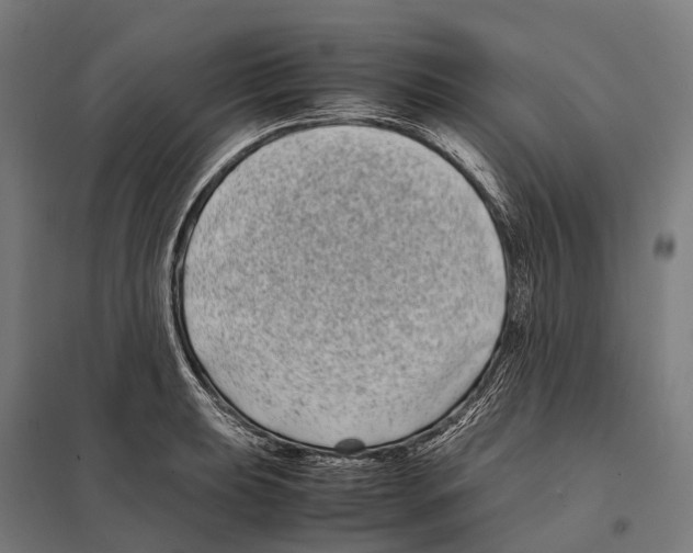 X0000097641039200803281118