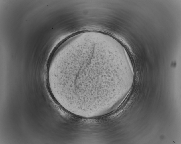 X0000097641040200803281118