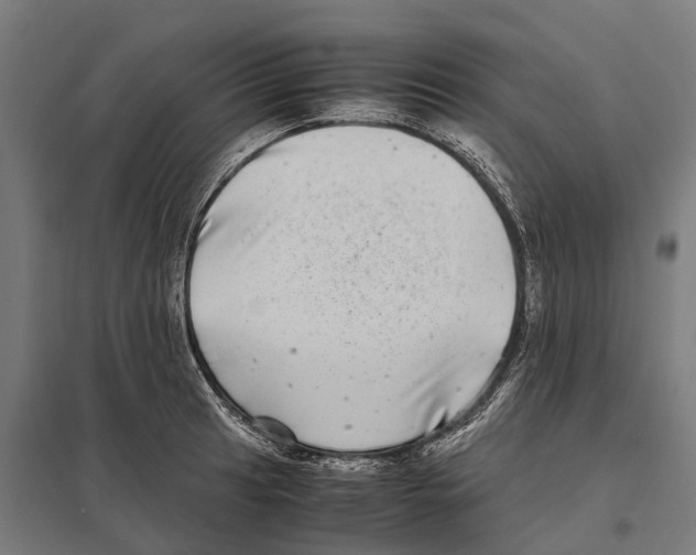 X0000097641041200803281118