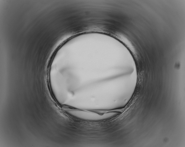 X0000097641043200803281118