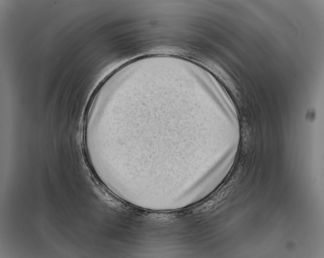 X0000097641044200803281118