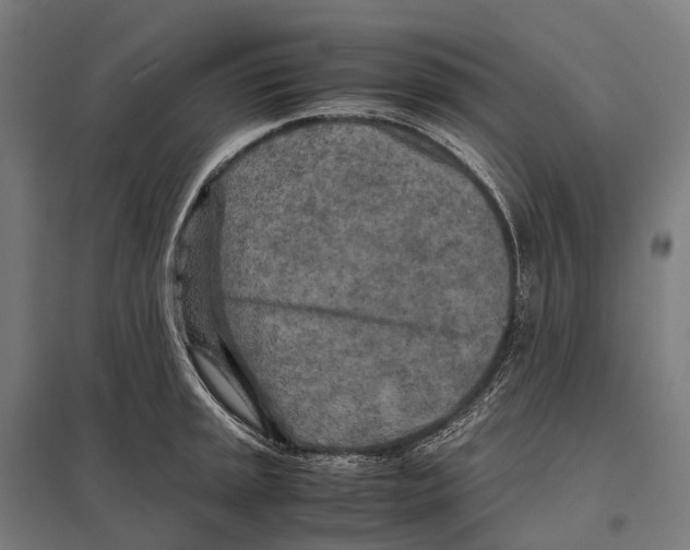 X0000097641045200803281119