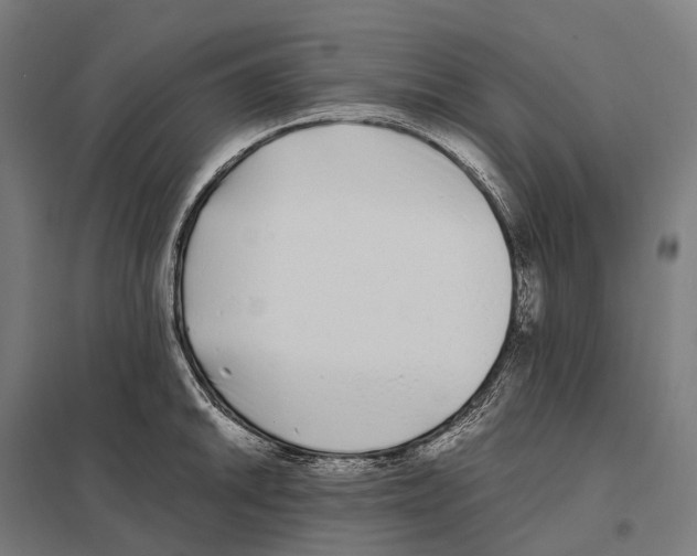 X0000097641046200803281119