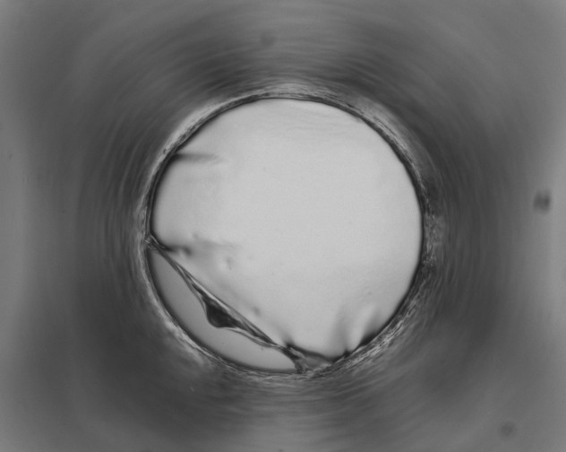 X0000097641048200803281119