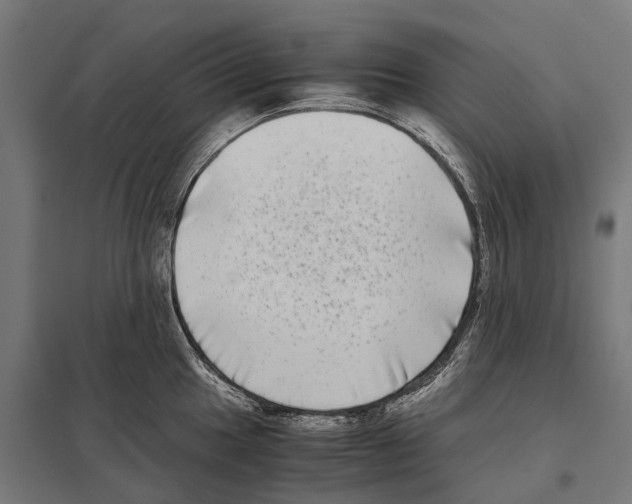 X0000097641049200803281119