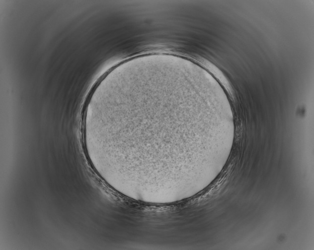 X0000097641051200803281119