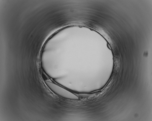 X0000097641052200803281119