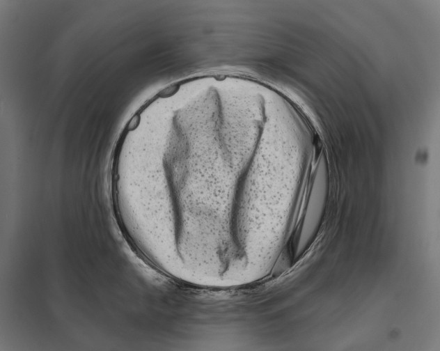 X0000097641054200803281119