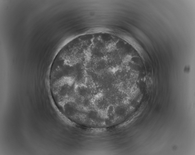 X0000097641055200803281119