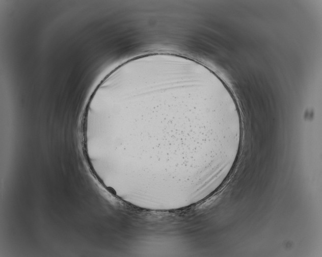 X0000097641056200803281119