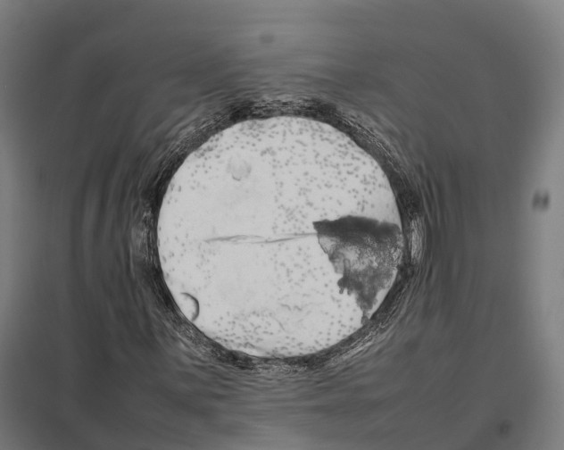 X0000097641059200803281118