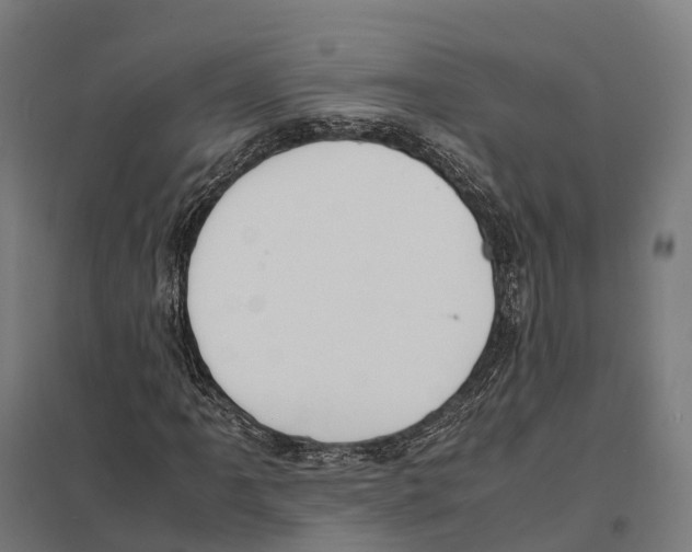 X0000097641061200803281118