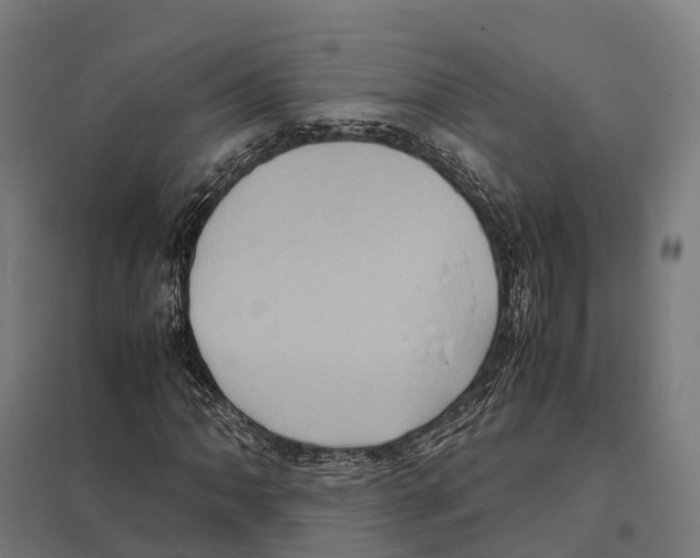 X0000097641062200803281118